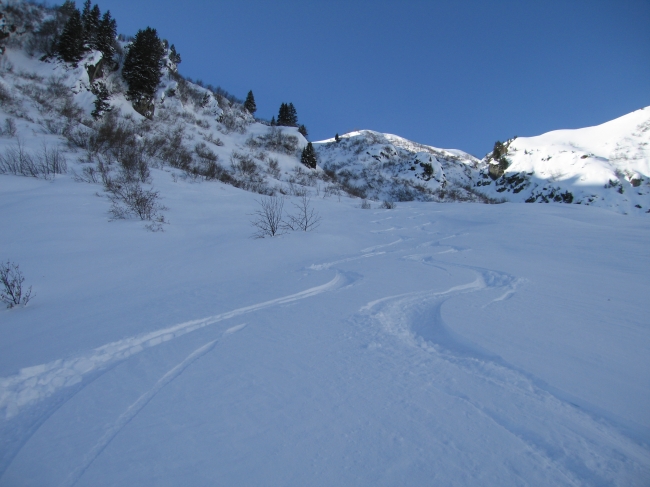 Les Marmottes Noires - LAUZIERE - 072.jpg